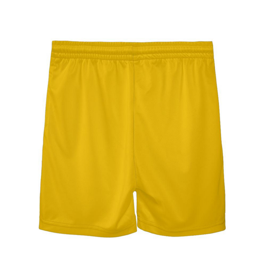 Youth Sturbridge Little League Baseball Shorts - Gold Edition