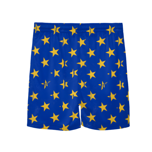 Youth Brimfield Beasts Blue Flag Mesh Shorts