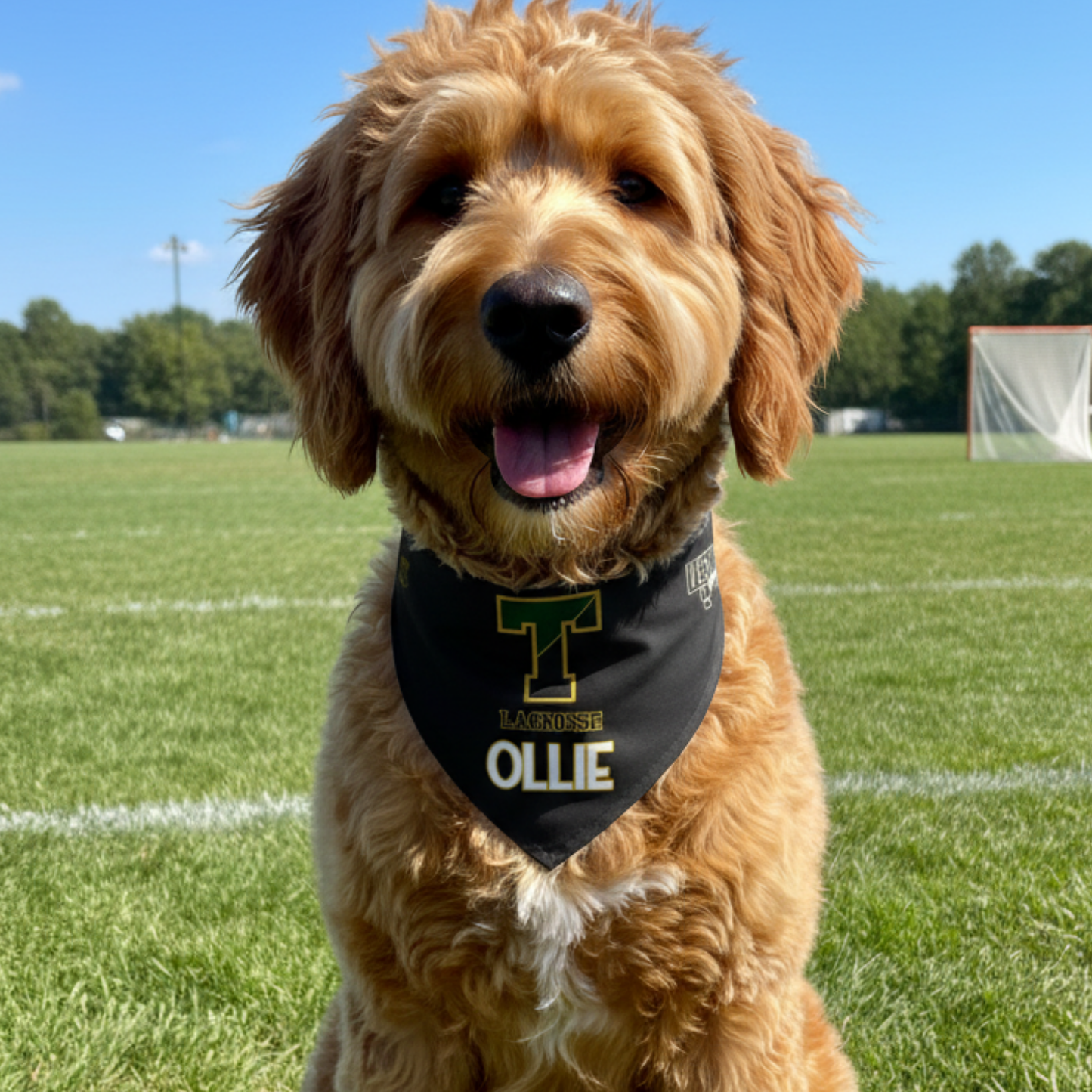 TRYLax Clip-On Pet Personalized Pet Bandana