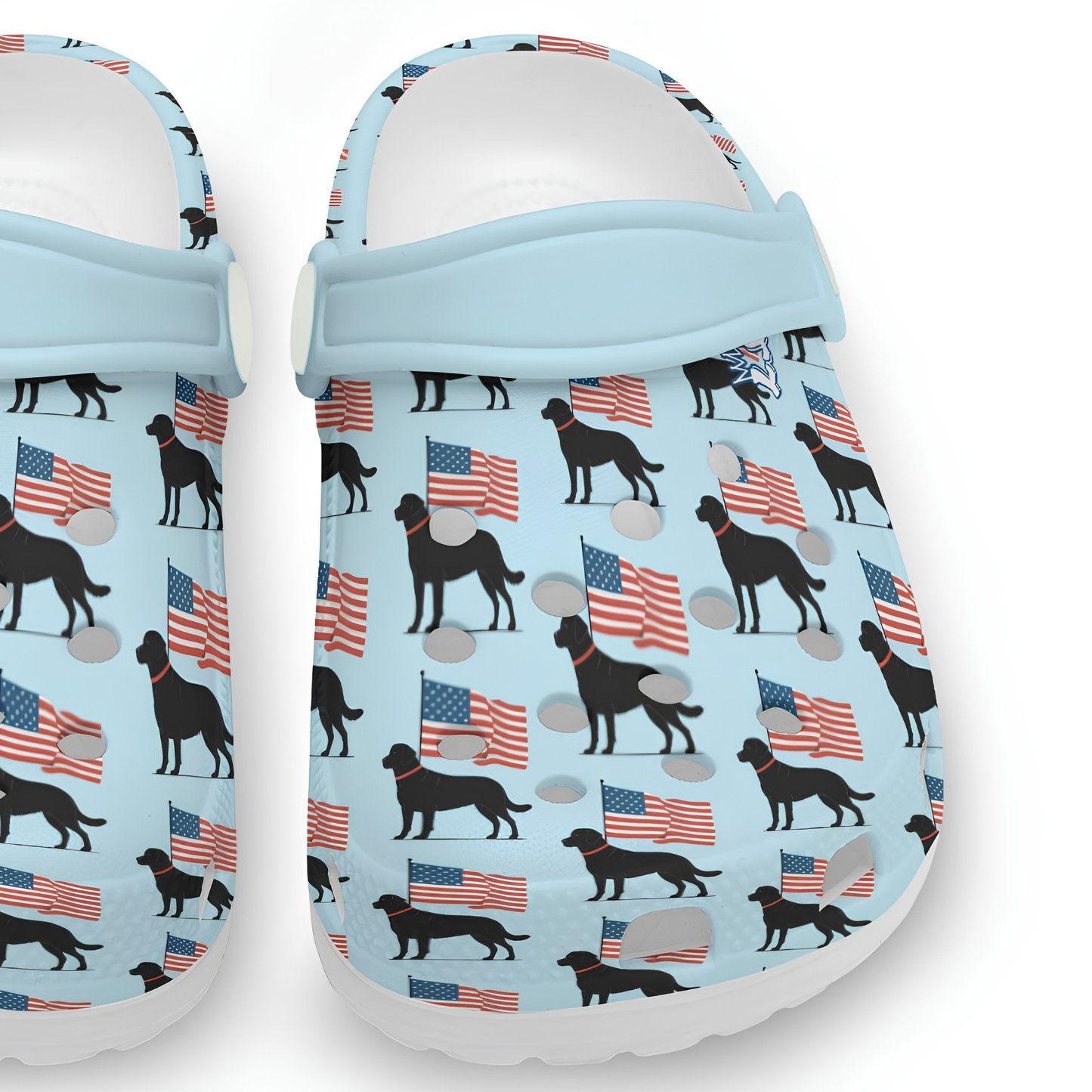 Kids Black Lab American Flag Summer Shoes