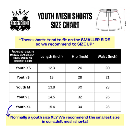 Youth Brimfield Inferno Softball Mesh Shorts - Black