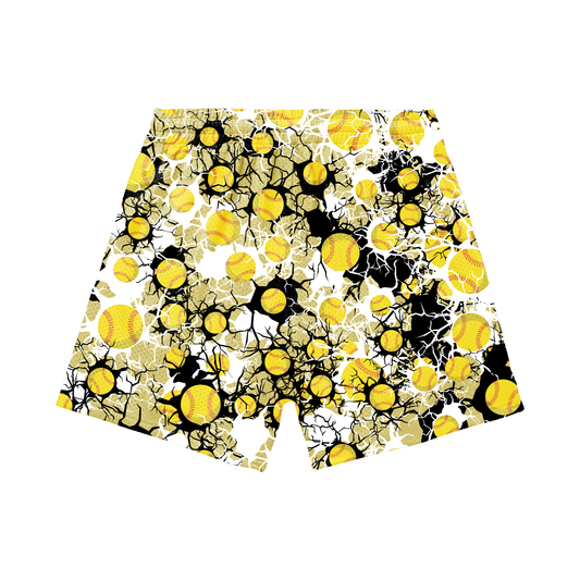 Adult Brimfield Inferno Softball Mesh Shorts Shattered Edition (with inner liner)