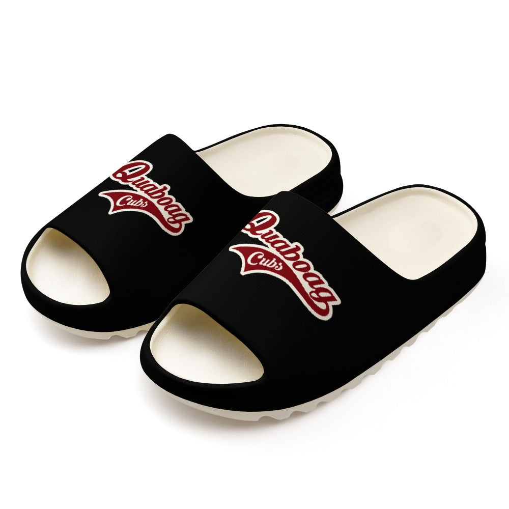 Adult/Teen Quaboag Baseball Slides