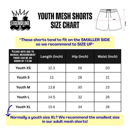 Youth Brimfield Beasts Baseball Flag Shorts - Black Edition