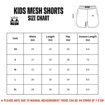 Kids Patriotic Summer Mesh Shorts