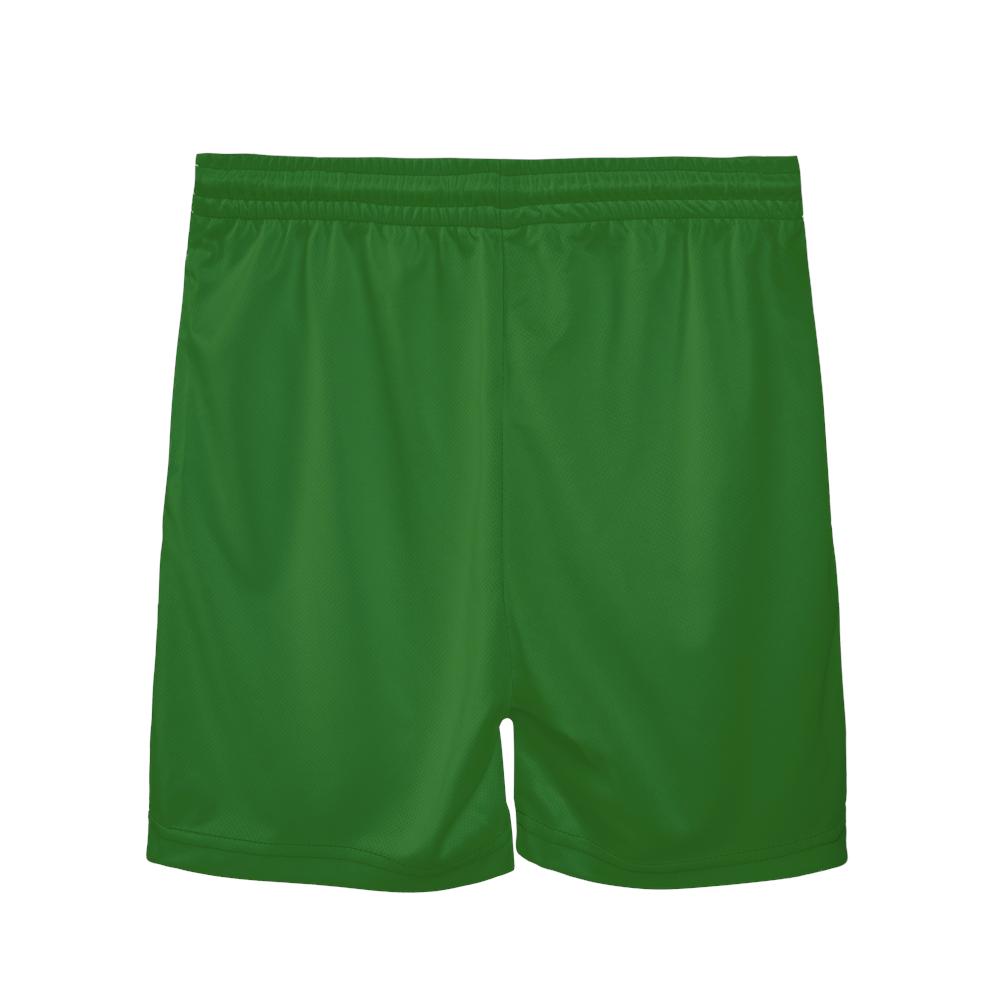 Youth TYFC Mesh Shorts (Flag Edition)